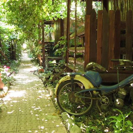 Olympos Natural Pansiyon Ngoại thất bức ảnh