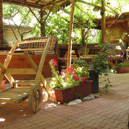 Olympos Natural Pansiyon Ngoại thất bức ảnh