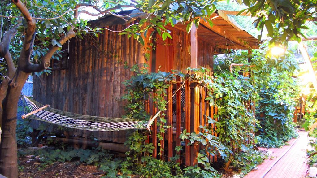 Olympos Natural Pansiyon Phòng bức ảnh