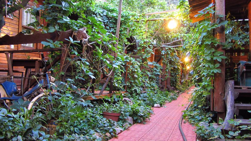Olympos Natural Pansiyon Ngoại thất bức ảnh